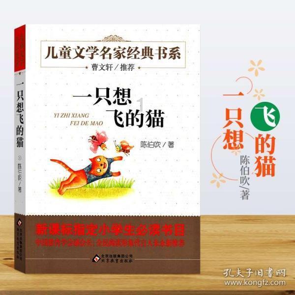 逃离神秘之屋